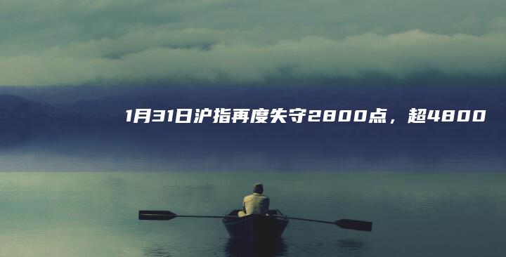 1 月 31 日沪指再度失守 2800 点，超 4800 股下跌，传媒板块逆势走强，如何看待今日行情？